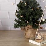 Ornement Noël Plentox NATURELLE