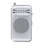 Radio Mester ARGENT