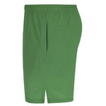Shorts Rudig BLEU
