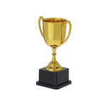 Coupe Nynor DORÉ