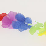 Collier Jamaïcain Punder RAINBOW