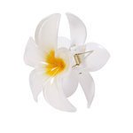 Pince à cheveux Tixcon FLEUR