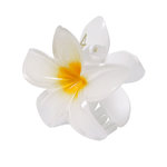 Pince à cheveux Tixcon FLEUR
