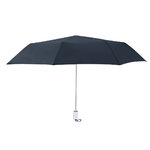 Parapluie Winsler BLEU CLAIR