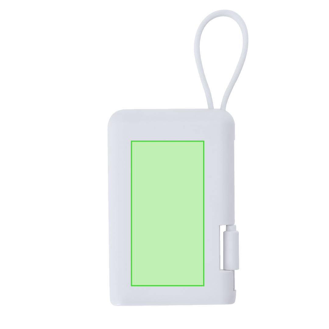 Power Bank Brandin
